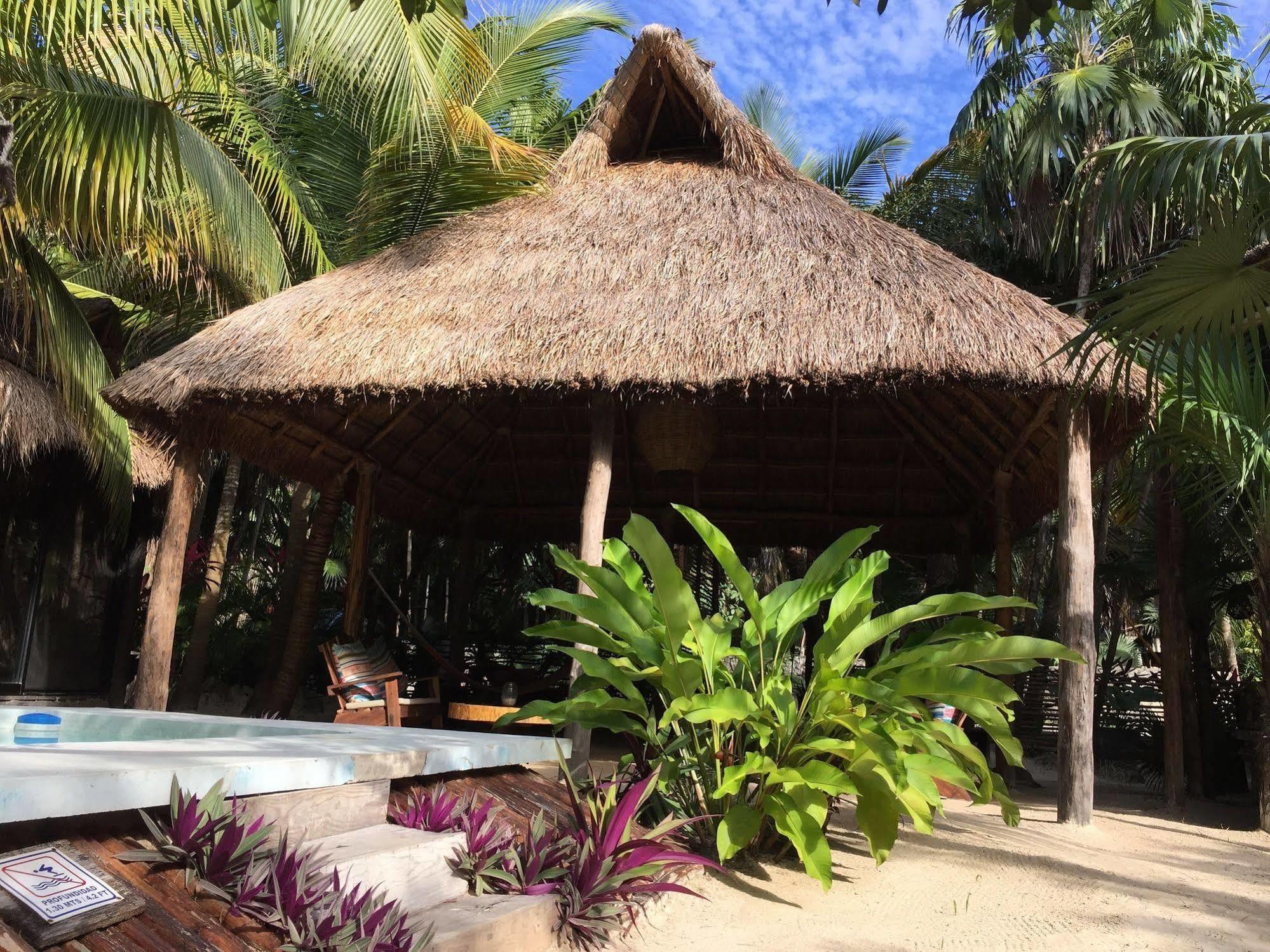 Manglex Eco Hotel Tulum Esterno foto