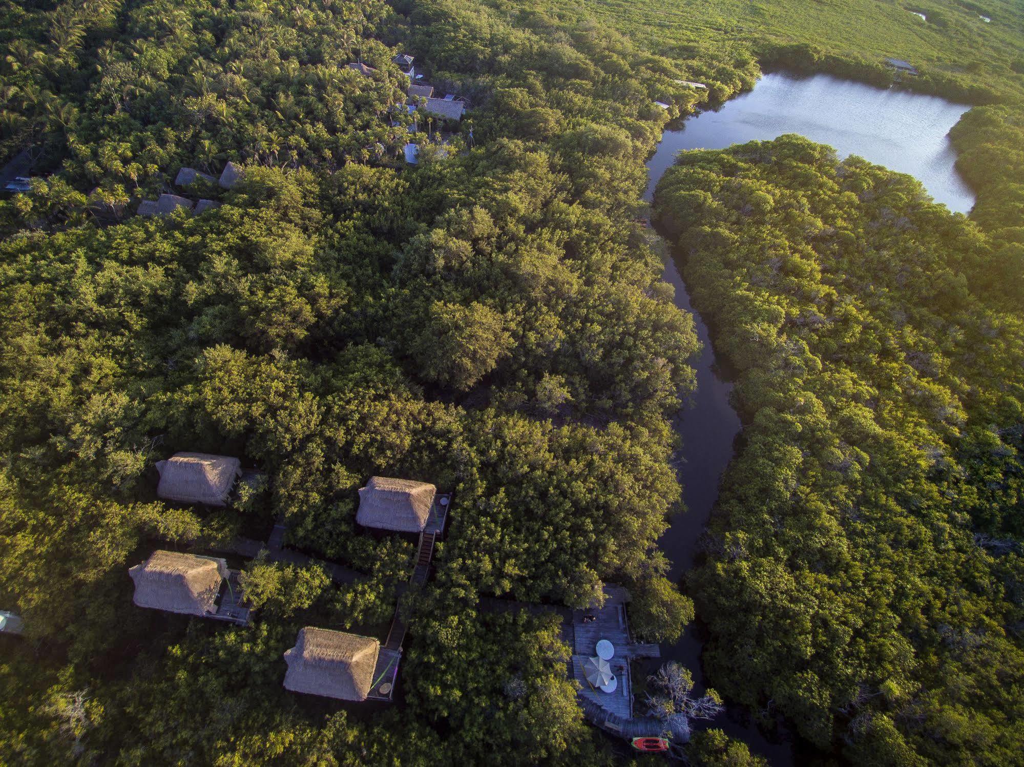 Manglex Eco Hotel Tulum Esterno foto