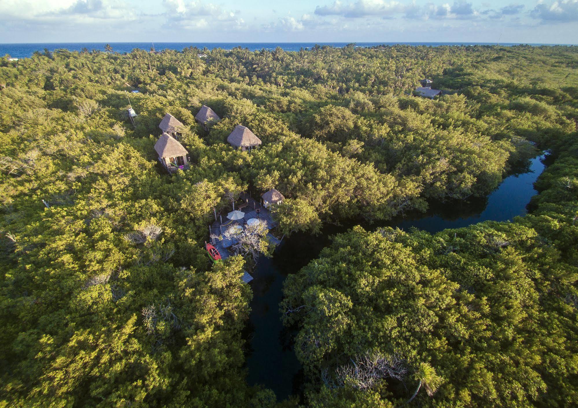 Manglex Eco Hotel Tulum Esterno foto